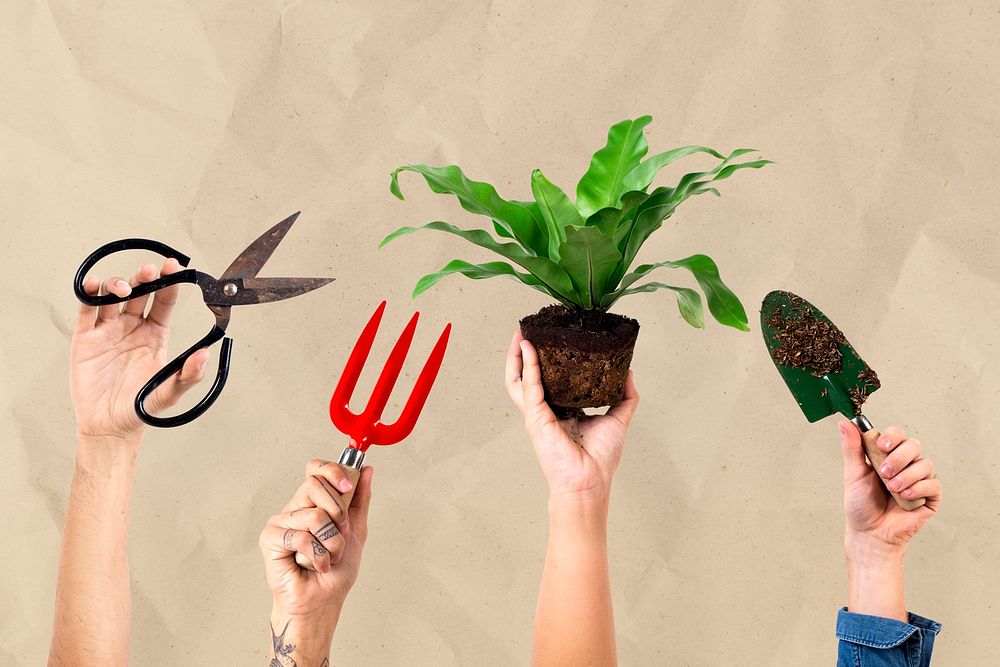 Hand mockups psd DIY repotting houseplant gardening hobby