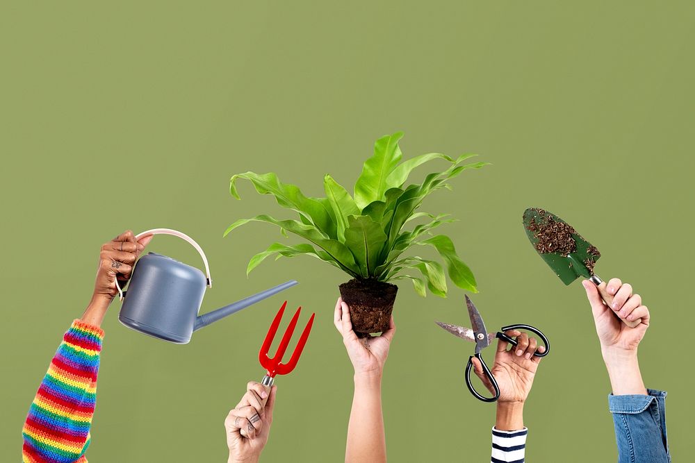 Hand mockups psd DIY repotting houseplant gardening hobby