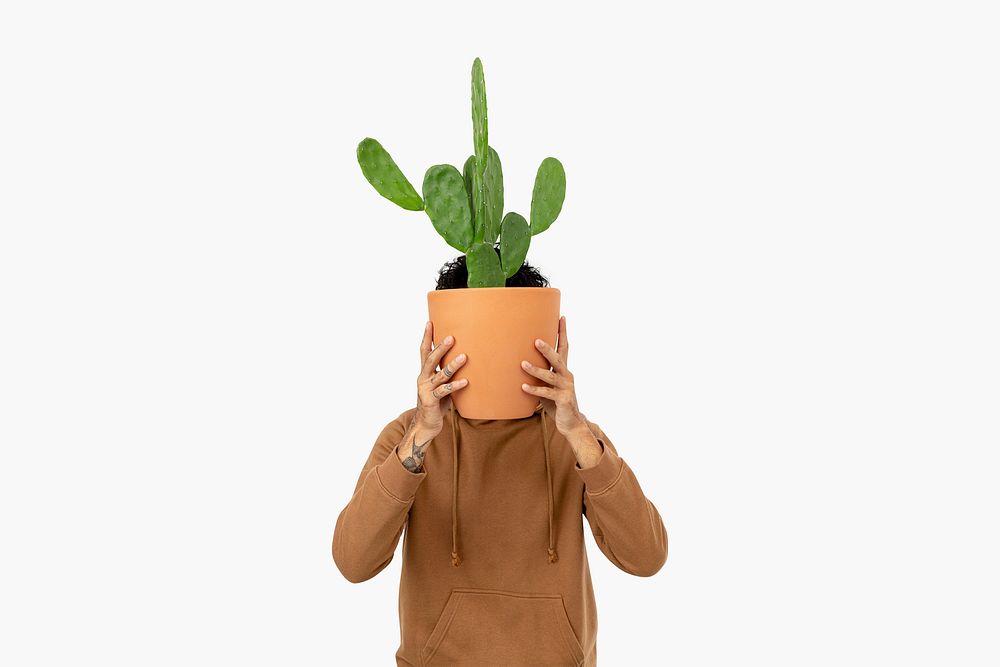 Casual man holding potted cactus