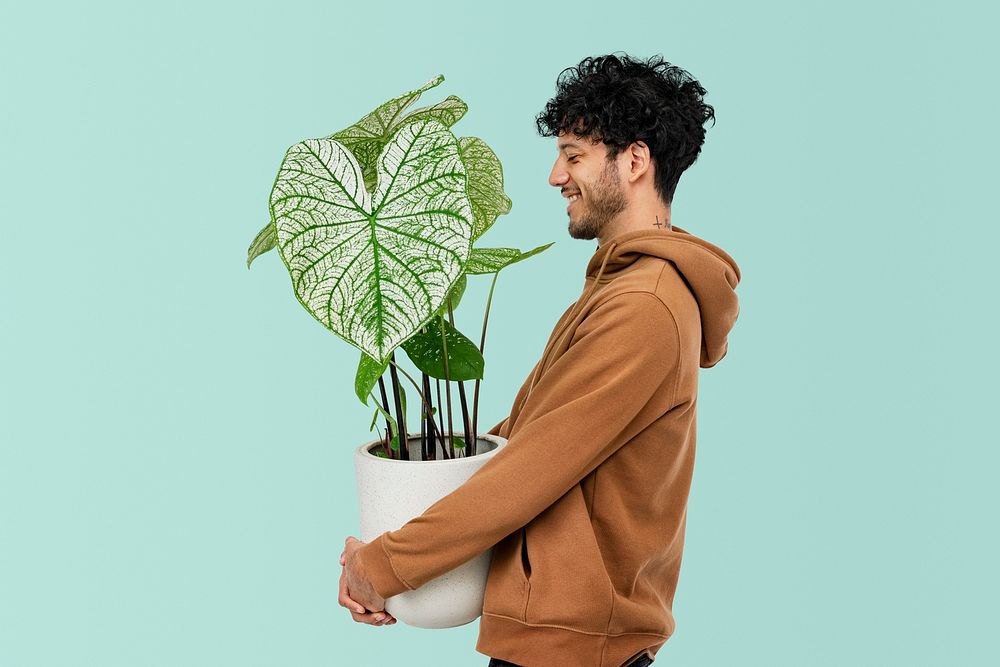 Happy plant lover mockup psd holding potted white elephant's ear plant