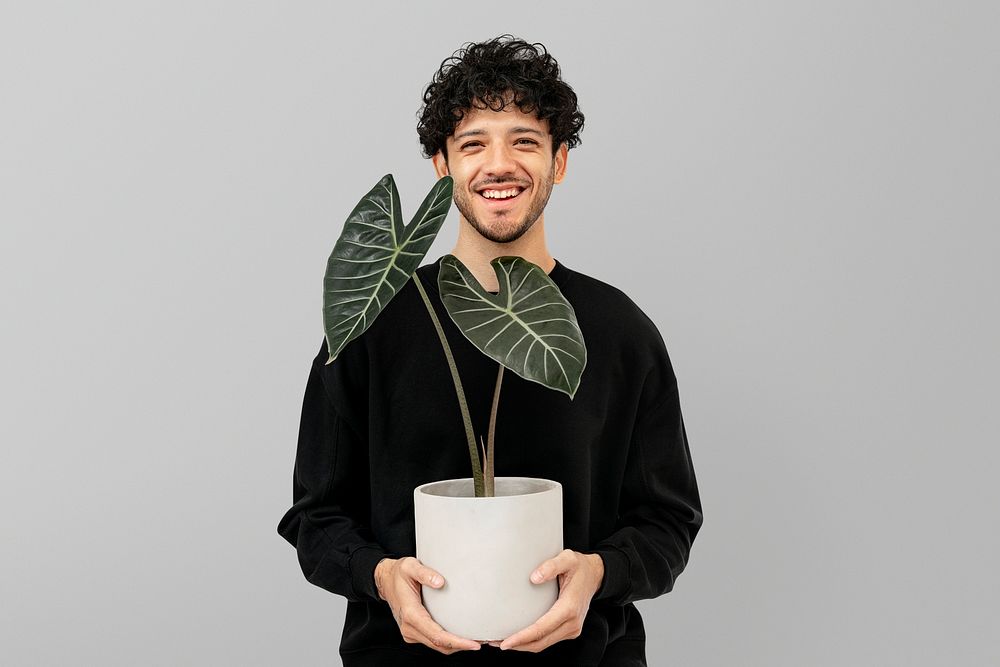 Happy plant parent mockup psd  holding potted alocasia longiloba