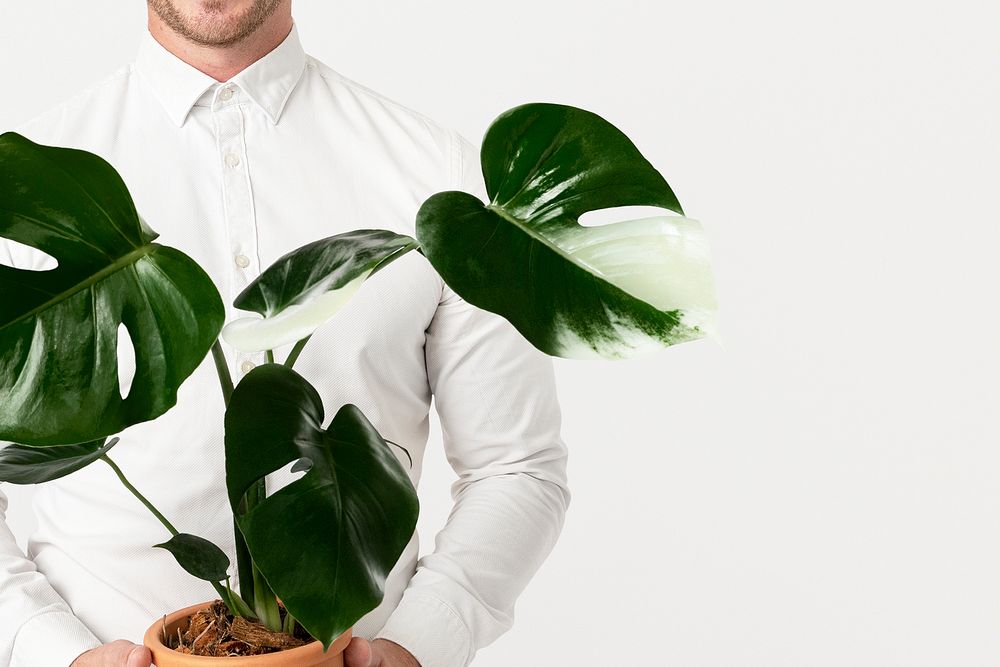 Plant parent mockup psd holding potted monstera