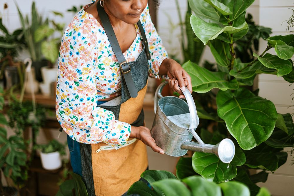 Small business worker watering plants 