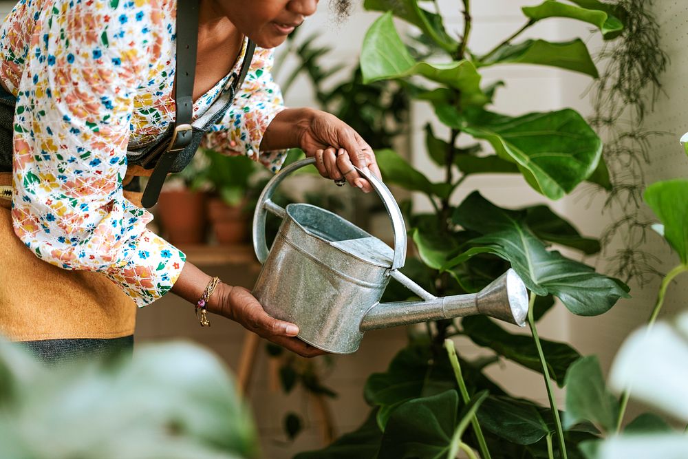 Woman wearing apron watering indoor plants
