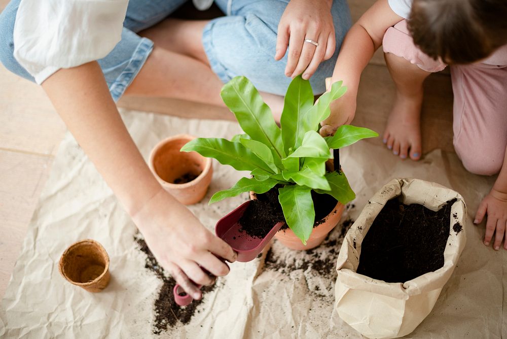 Kid DIY plant potting at home with mom