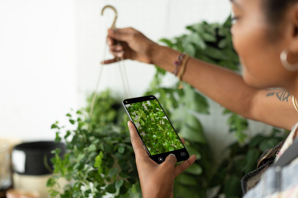 Woman takes a photo of houseplant to share on social media 
