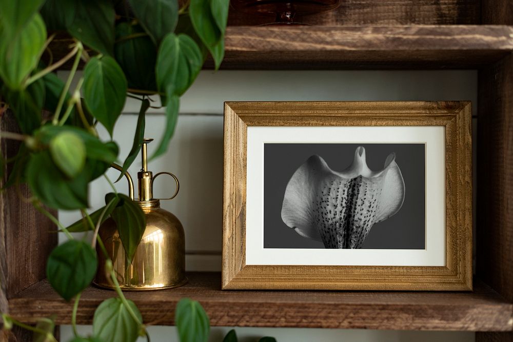 Picture frame mockup psd on wooden shelf with houseplants home decor