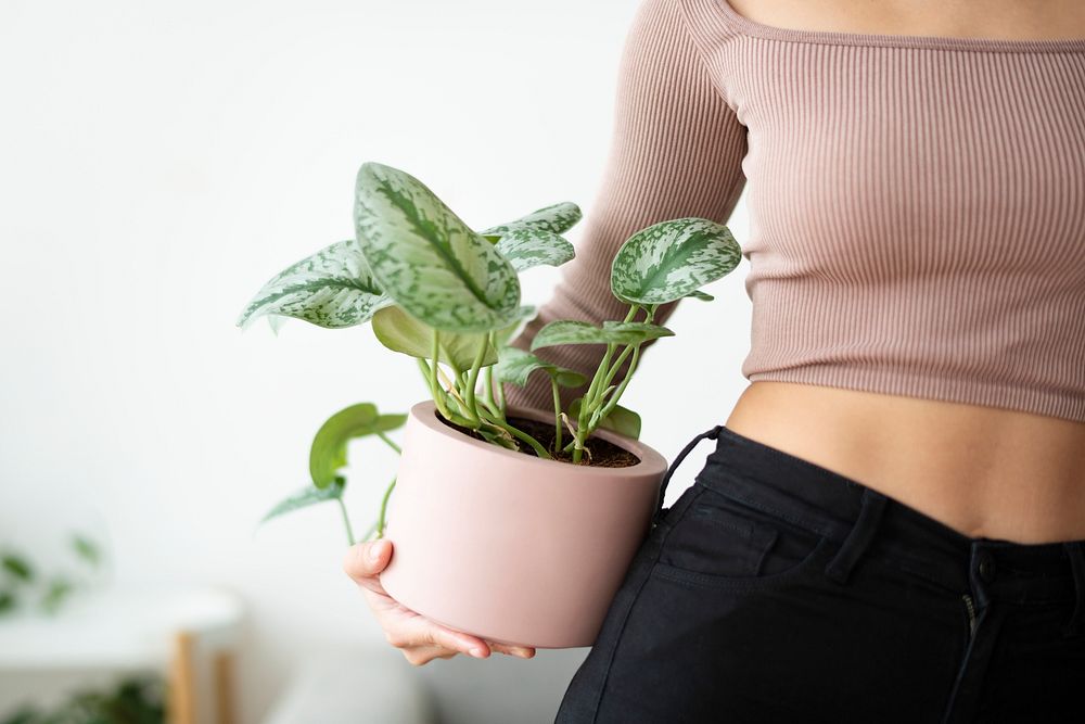 Millennial plant parent holding potted houseplant