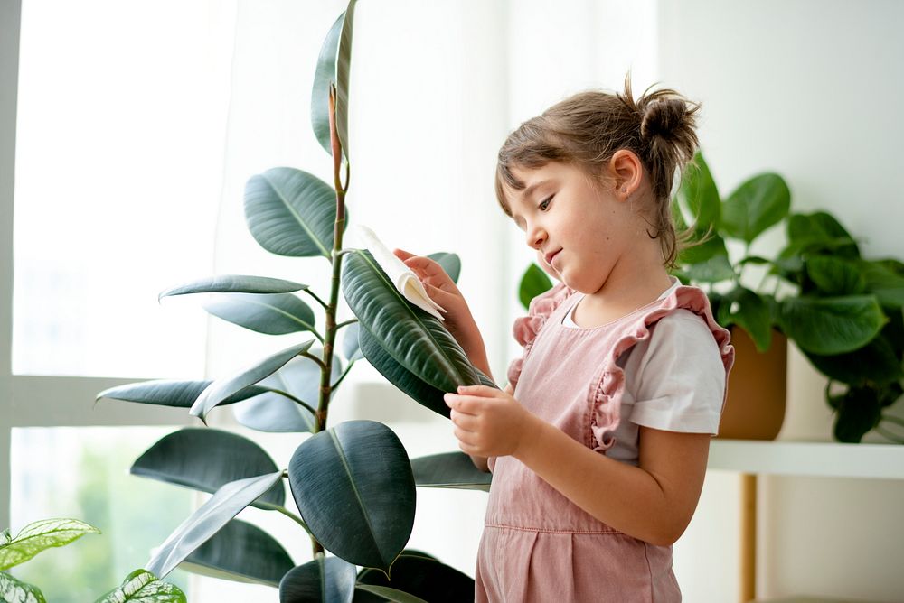 Little girl cleaning the leaf of potted plant