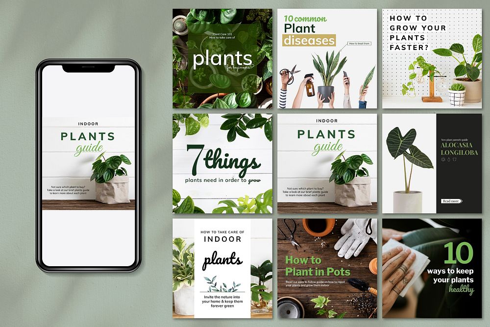 Indoor plants guide template vector set for social media post