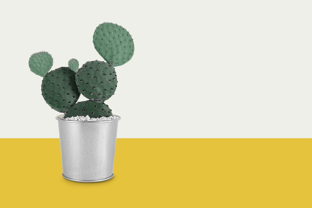 Potted cactus retro yellow background