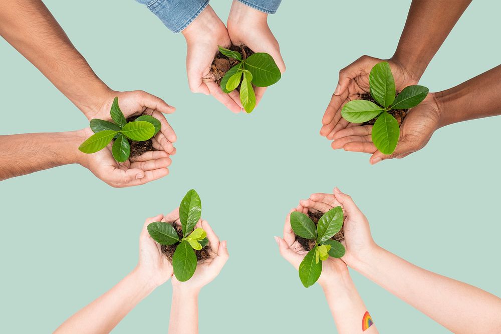 Hands cupping plant mockup psd save the environment campaign