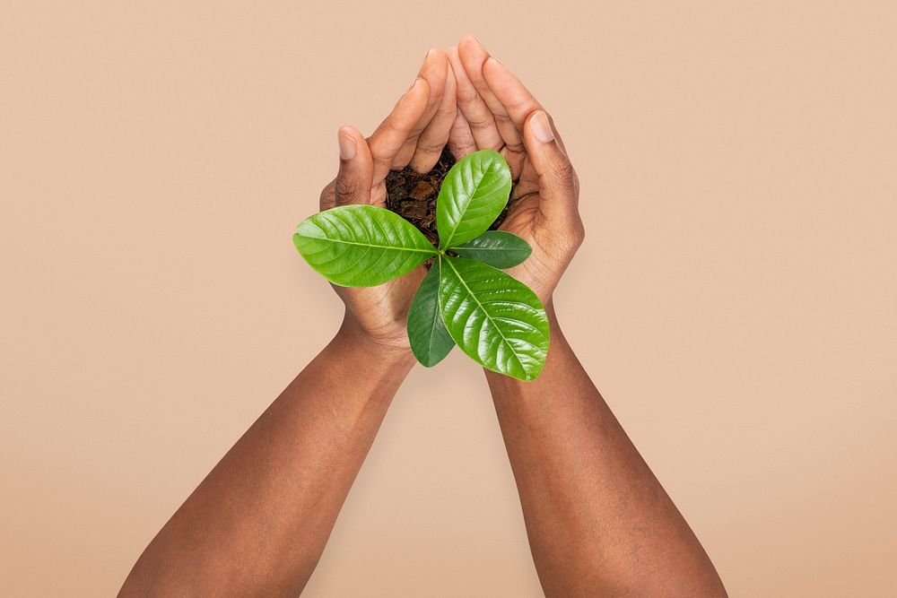 Hands cupping plant mockup psd save the environment campaign