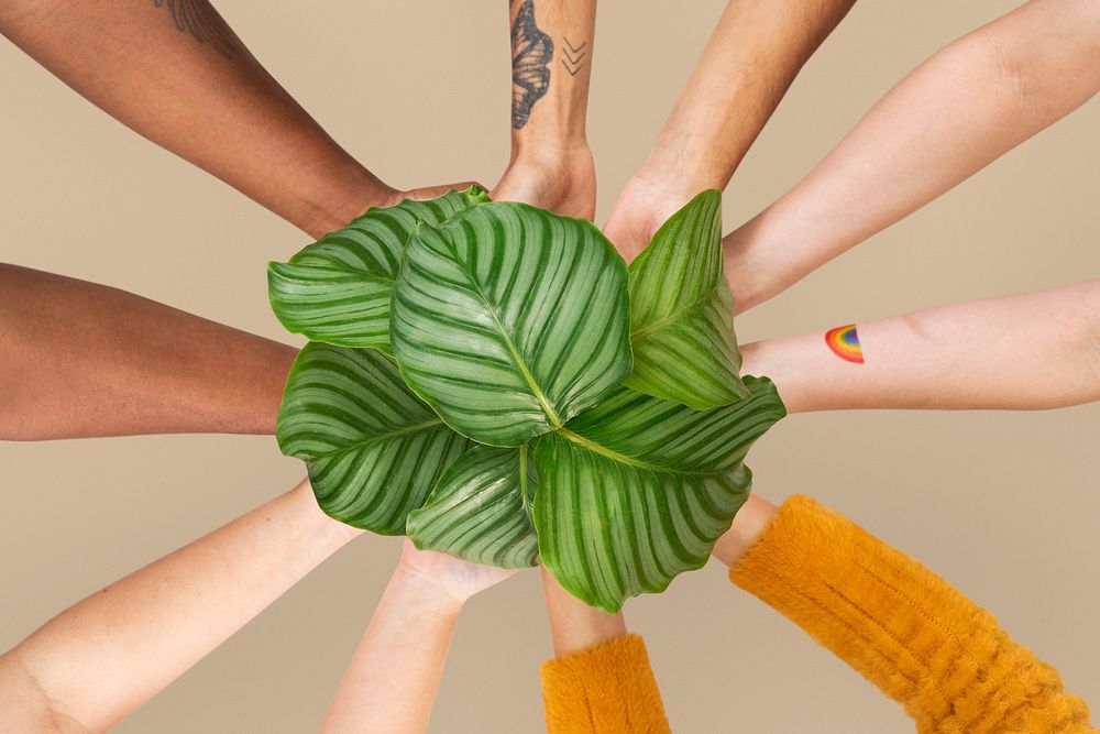 Hands cupping plant mockup psd save the environment campaign