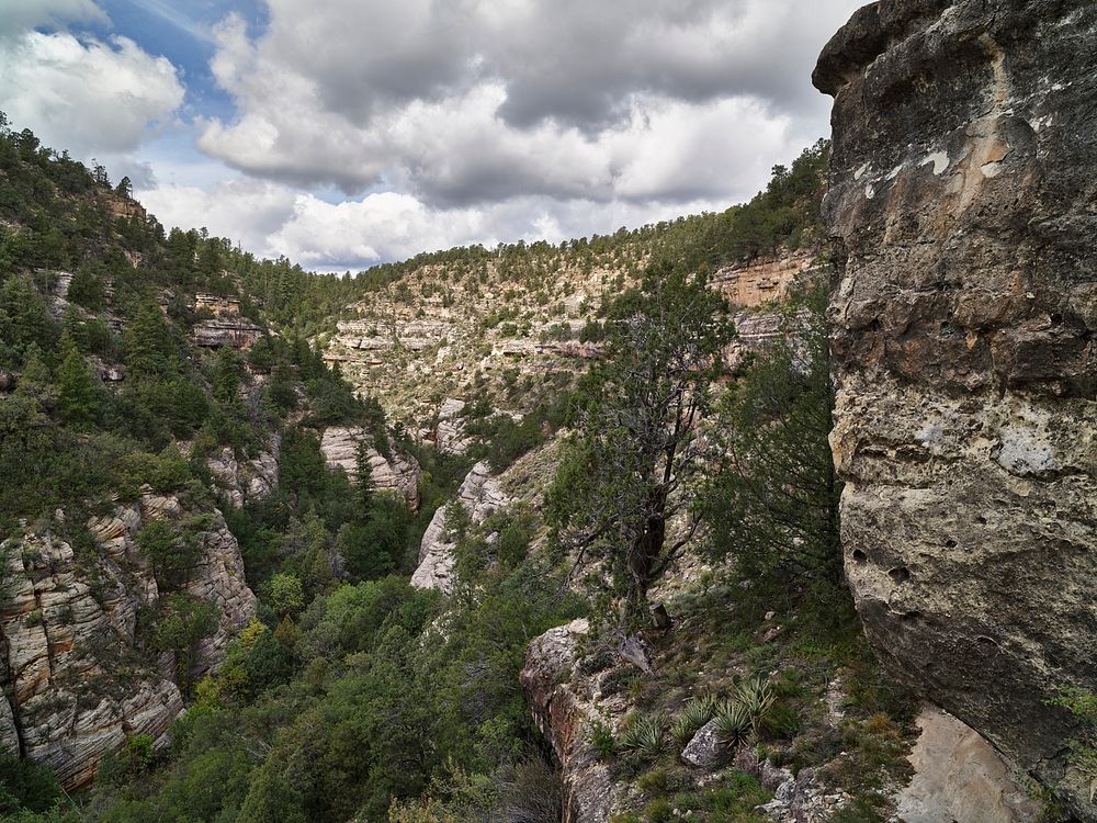 View into Walnut Canyon National Monument, located about 10 miles from Flagstaff, Arizona.