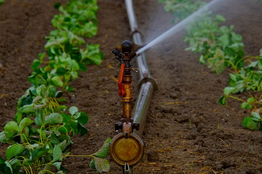 Agricultural Sprinklers. Original public domain image from Wikimedia Commons