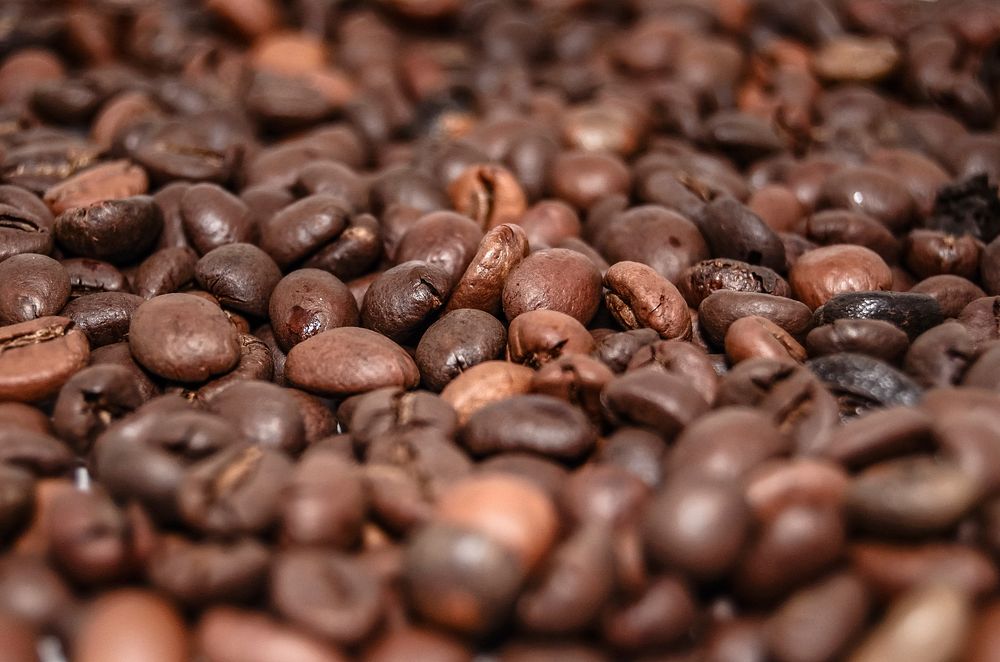 Coffee beans. Original public domain image from Wikimedia Commons