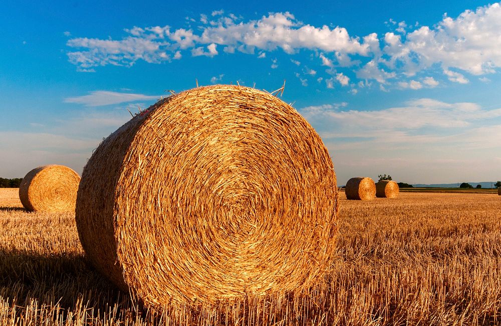 Straw bales. Original public domain image from Wikimedia Commons