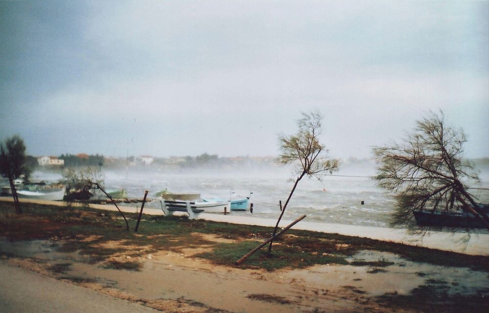 Orkan wind in Nin, bended trees and troubled sea. Original public domain image from Wikimedia Commons