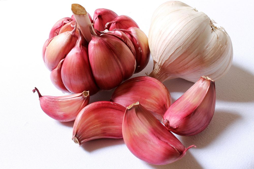 Garlic purple head. Original public domain image from Wikimedia Commons