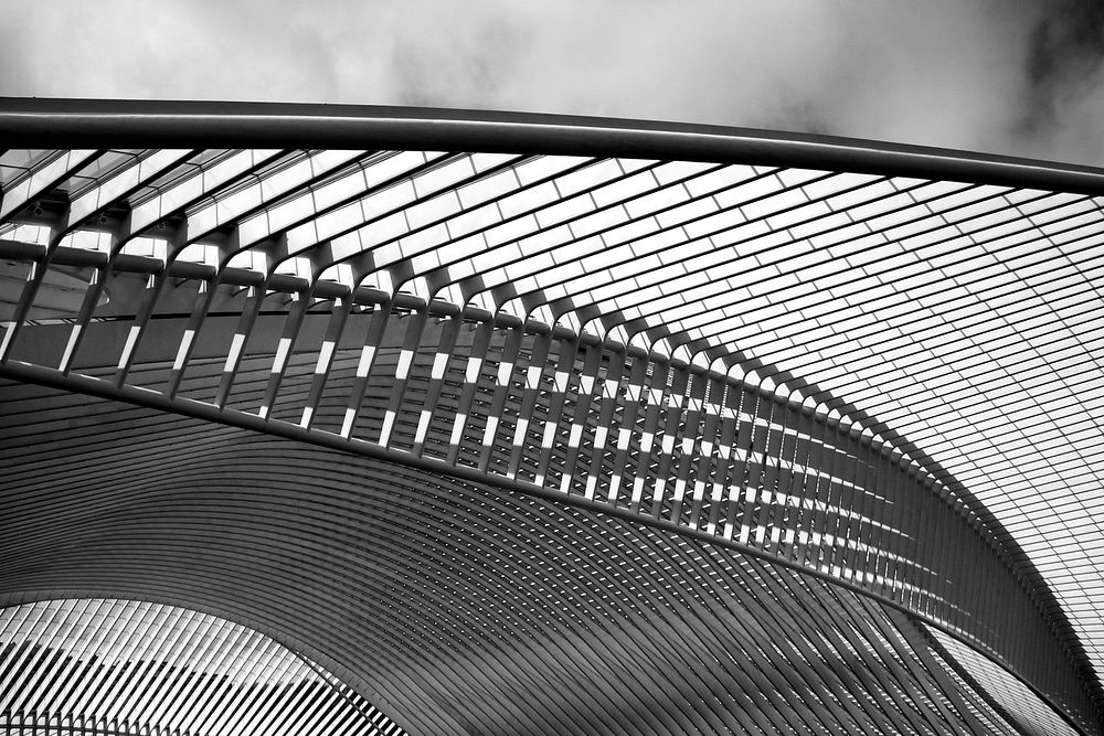 Railway Station, Lige-Guillemins (Luik), Belgium. Architect: Santiago Calatrava (Spain). Original public domain image from…