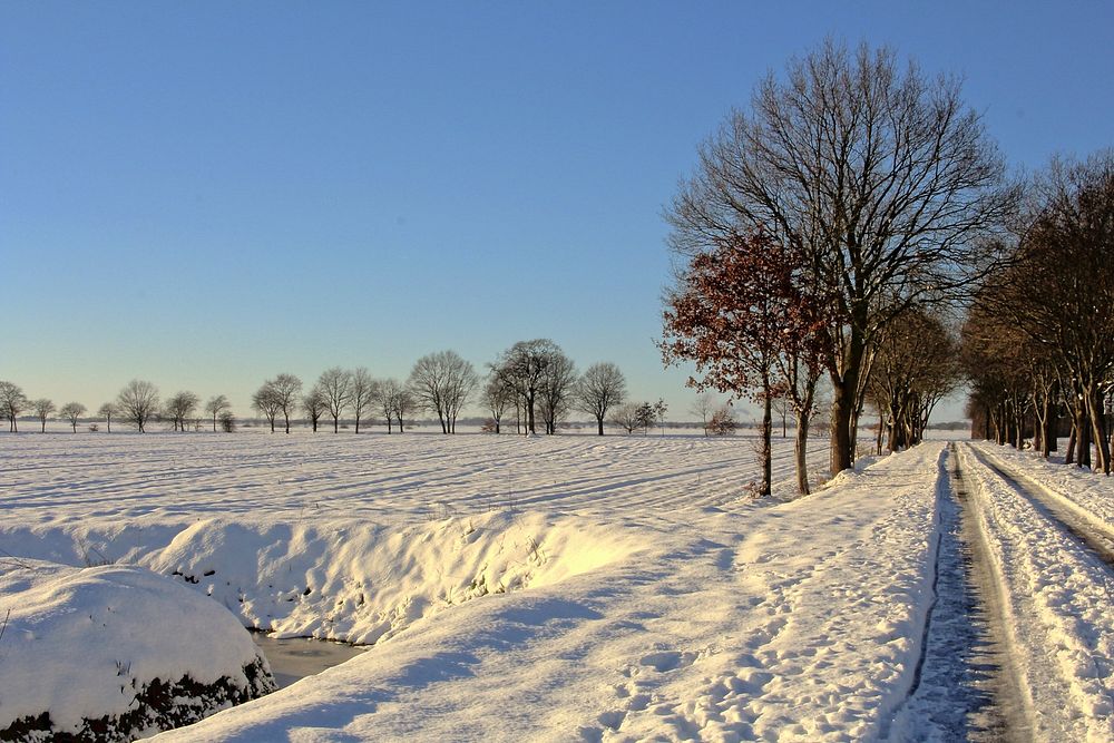 Winter. Original public domain image from Wikimedia Commons