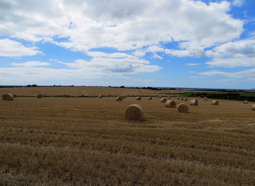 Hay Bale Landscape. Original public domain image from Wikimedia Commons