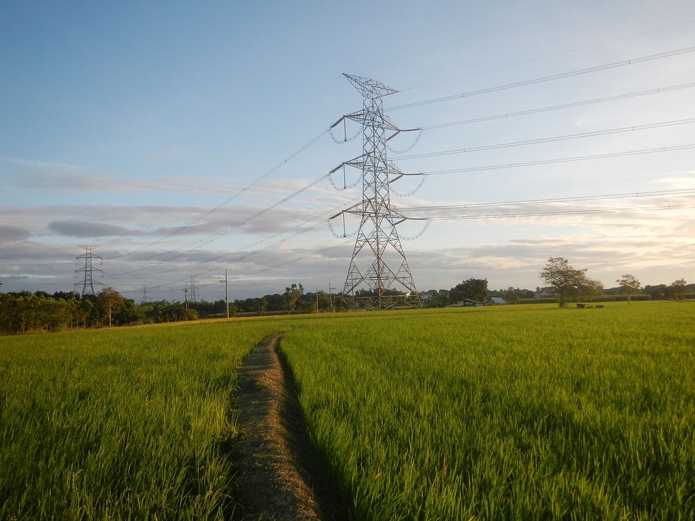 Trees, grasslands, paddy and vegetable fields in Pulo barangay road, San Rafael, Bulacan in Barangay Pulo, San Rafael…