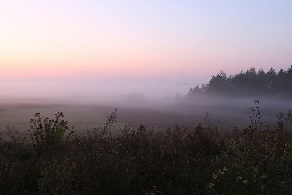 Mist (visible atmospheric water) shortly before sunrise. Meadow at dawn near Desenka railway halt. Ukraine, Vinnytsia…