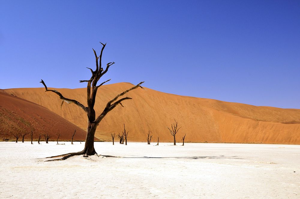 Desert in Namibia. Original public domain image from Wikimedia Commons