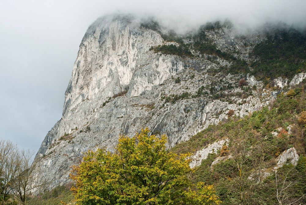 This media shows the nature reserve in the Tyrol with the ID 7025. Original public domain image from Wikimedia Commons