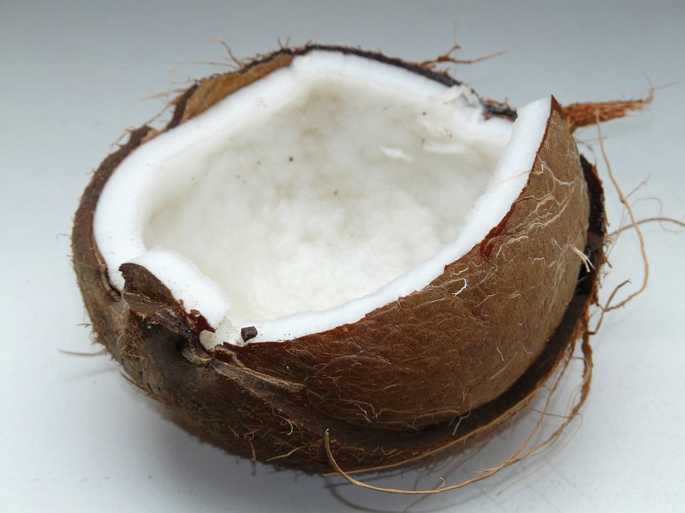 Mature coconut for coconut milk. Original public domain image from Wikimedia Commons