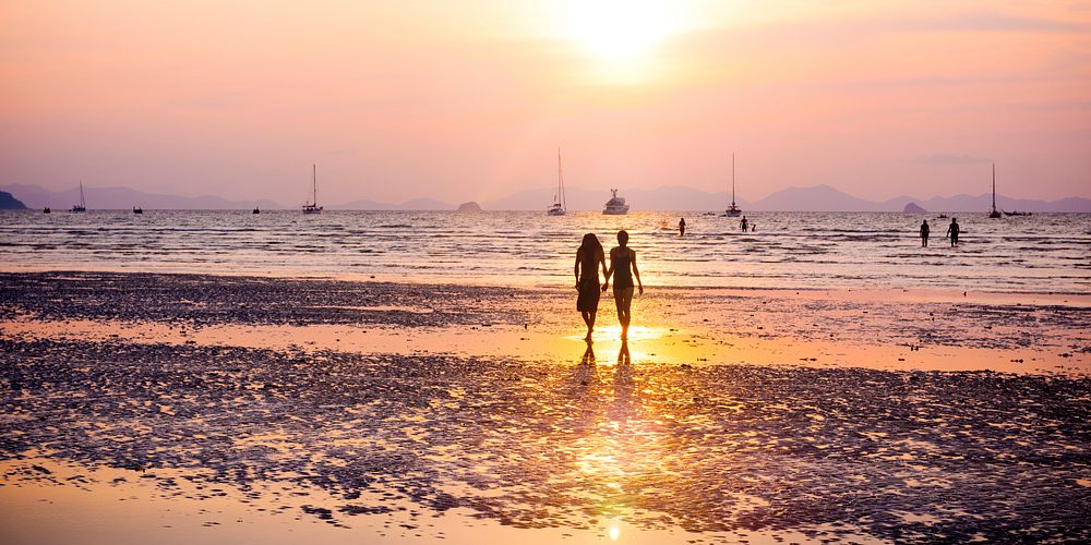 Silhouette of Couple Walking by the Beach