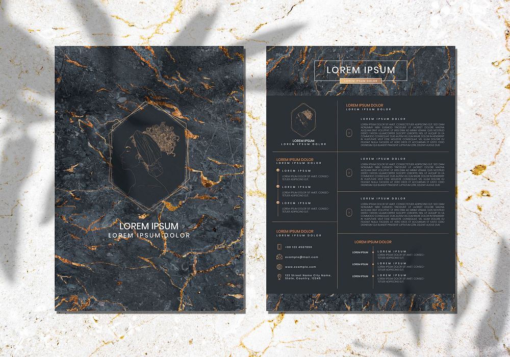 Luxurious marble textured portfolio vector