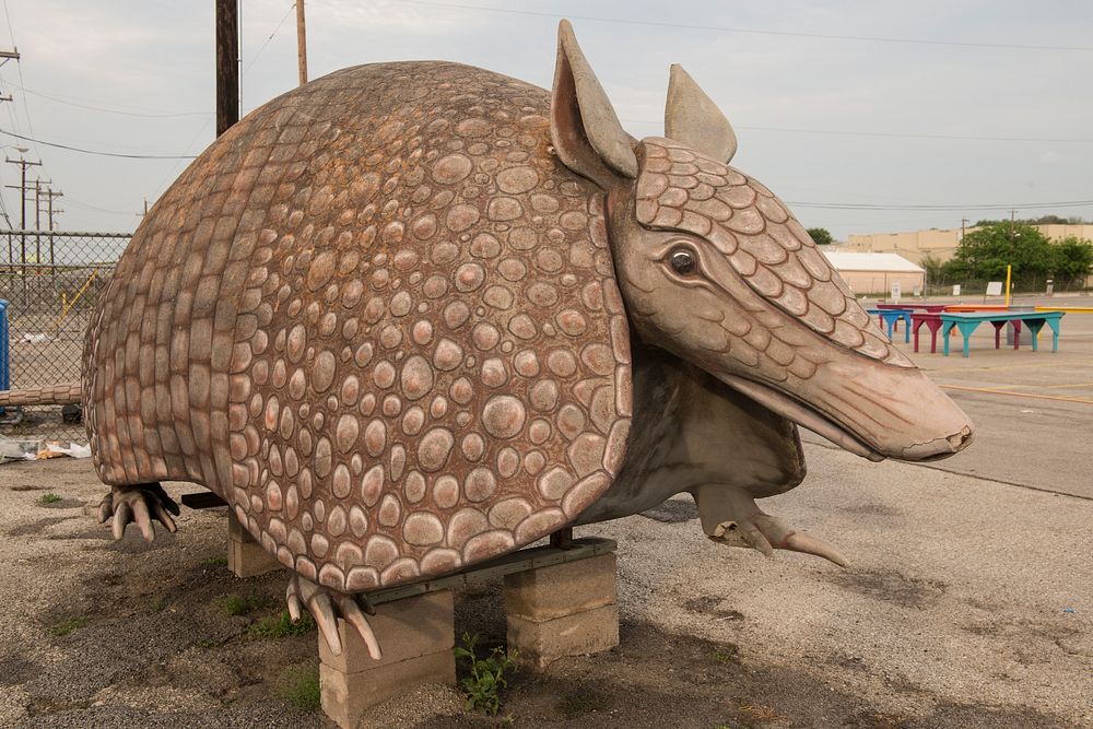 An oversized armadillo, the informal mascot at Bussey's Flea Market, a gathering of merchants selling assorted wares from…
