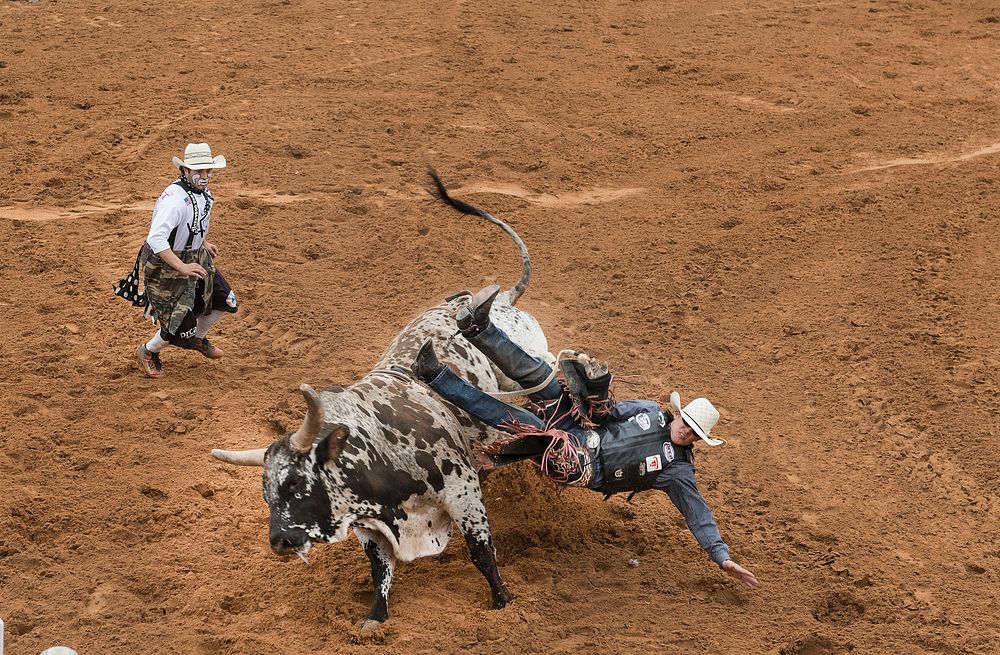 Scene from the &ldquo;Bad Company Rodeo,&rdquo; part of the annual Poteet Strawberry Festival in Poteet, a small city in…