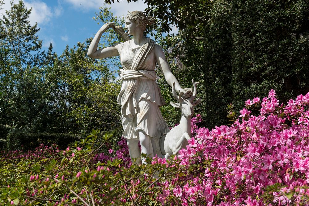 Along with a profusion of spring azaleas, a sculpture of Diana, goddess of wild animals and the hunt, is the feature of the…