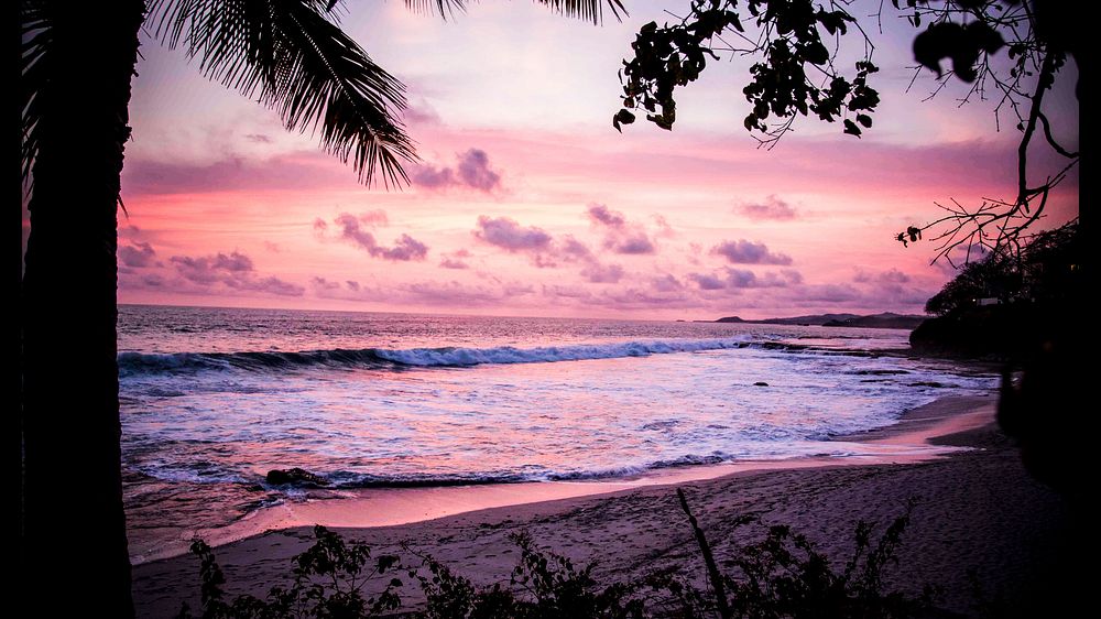 Tropical pink purple sunset beach. Original public domain image from Wikimedia Commons