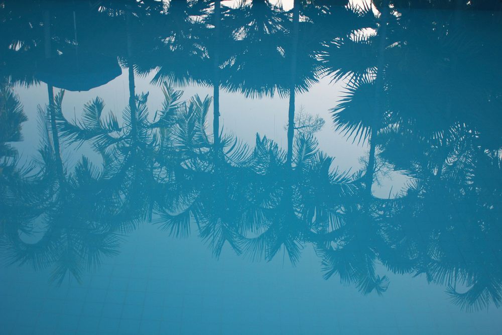 Tree shadow in a pool. Original public domain image from Wikimedia Commons