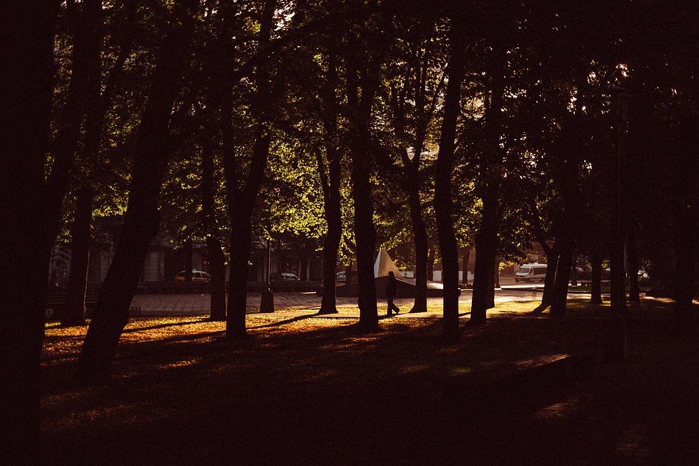 A silhouette of a person walking near a shaded copse of trees. Original public domain image from Wikimedia Commons