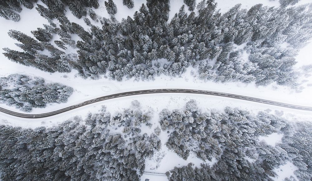 Snow blizzard in a woods drone view. Original public domain image from Wikimedia Commons