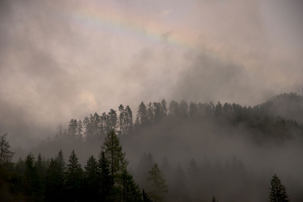 Rainbow among clouds over silhouettes of evergreen trees. Original public domain image from Wikimedia Commons