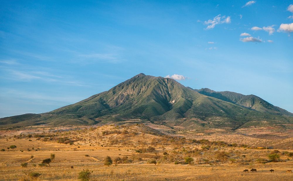 A mountain covered with green vegetation in the middle of a dry savannah. Original public domain image from Wikimedia Commons