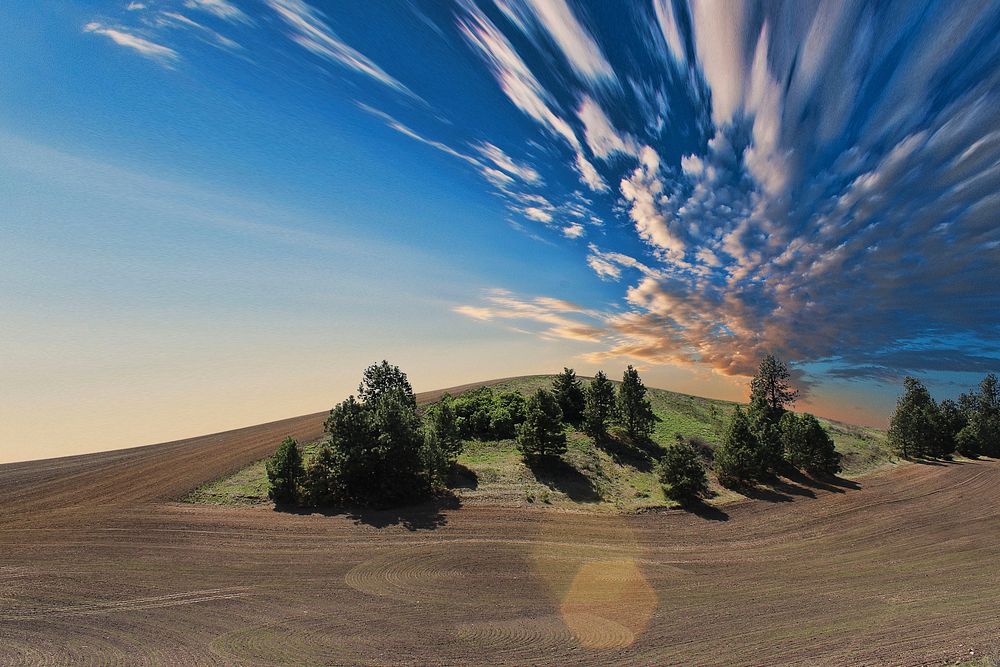 Beautiful field in the summer. Original public domain image from Wikimedia Commons