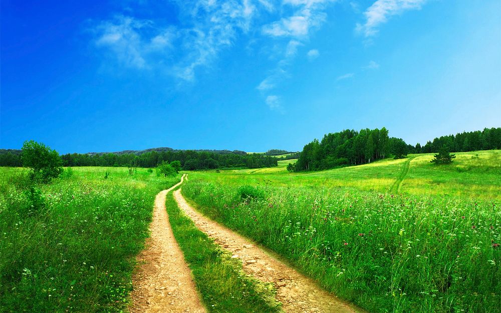 Country dirt road with beautiful scenic grassy landscape and clear blue sky in Spring. Original public domain image from…