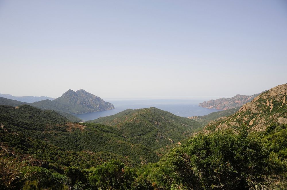 Hills covered with green shrubs along the blue coast. Original public domain image from Wikimedia Commons