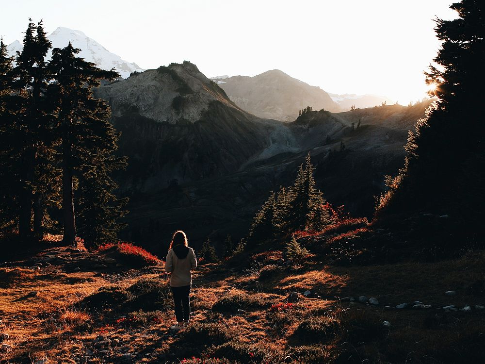 A woman looking at mountain peaks in an autumn setting with trees casting long shadows. Original public domain image from…