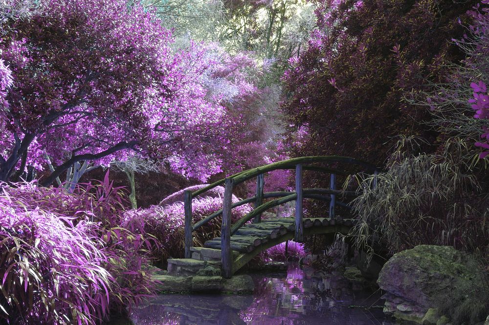 A mystical garden. Original public domain image from Wikimedia Commons