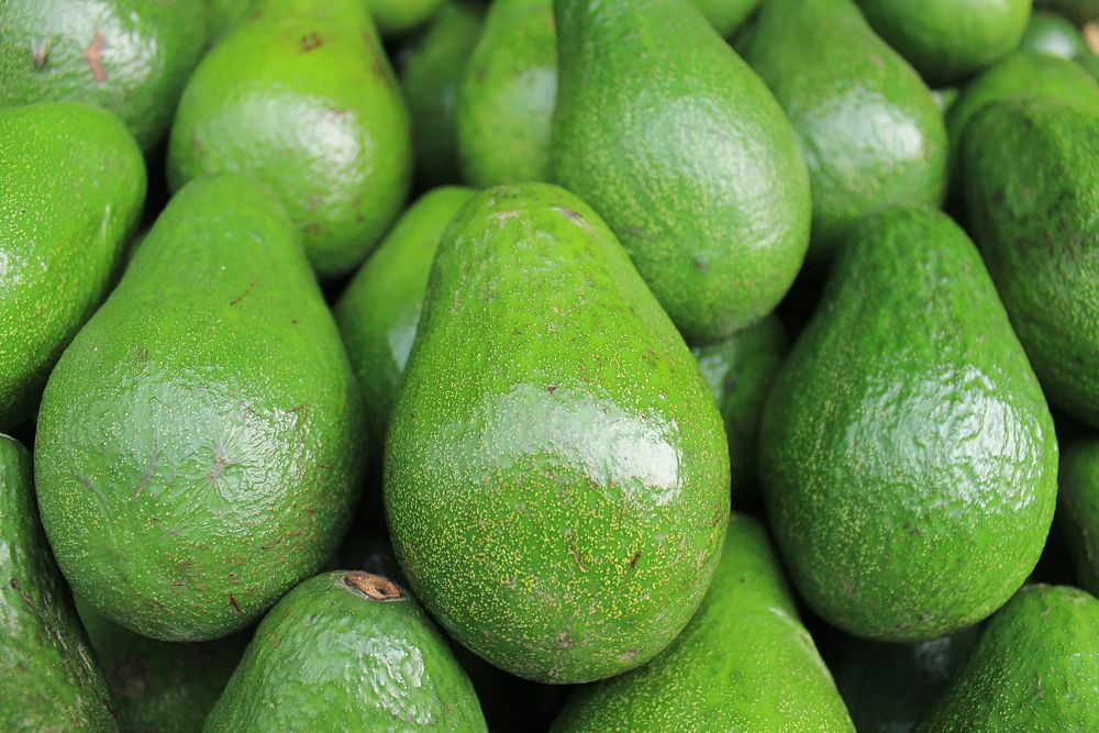 Green avocados. Original public domain image from Wikimedia Commons