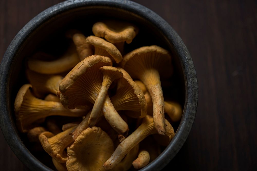 Rustic bowl of mushrooms and fungus vegetables. Original public domain image from Wikimedia Commons